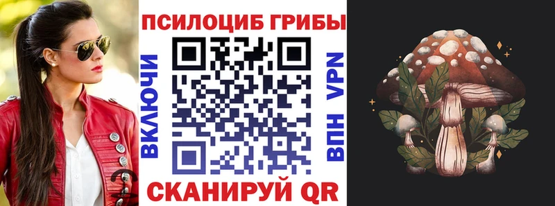Купить  Кашира  Галлюциногенные грибы Magic Shrooms 